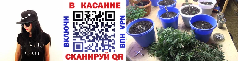 Какие есть наркотики Сергач СОЛЬ  Меф мяу мяу  ГАШИШ  КОКАИН 