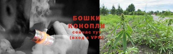 бутират Арсеньев