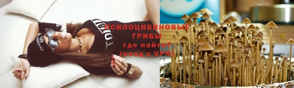 бутират Арсеньев