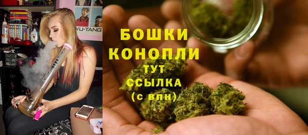 дмт Аркадак