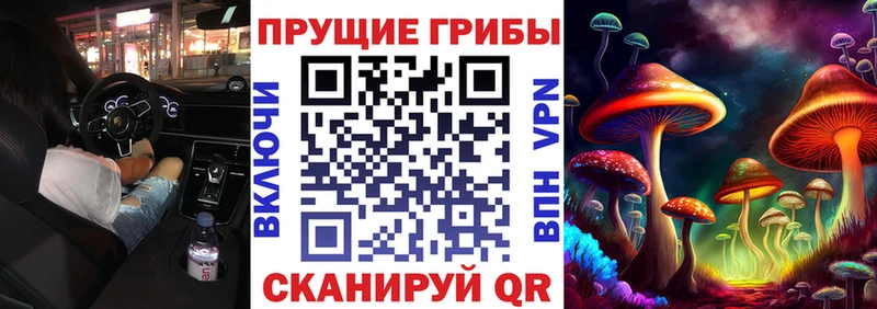 Псилоцибиновые грибы прущие грибы  Сергач 